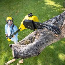 Best Tree Removal  in Glasgow, MO